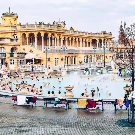 Dream In Budapest-steps To Budaeye &fashionst Apartment Budapest